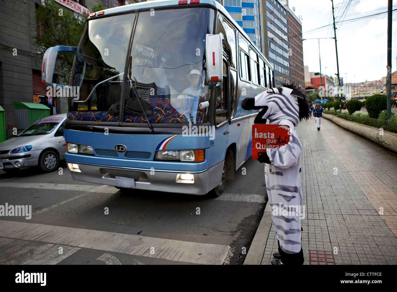 Bolivian Traffic Zebras helping you to cross the road safely, La Paz, Bolivia, South America Stock Photo