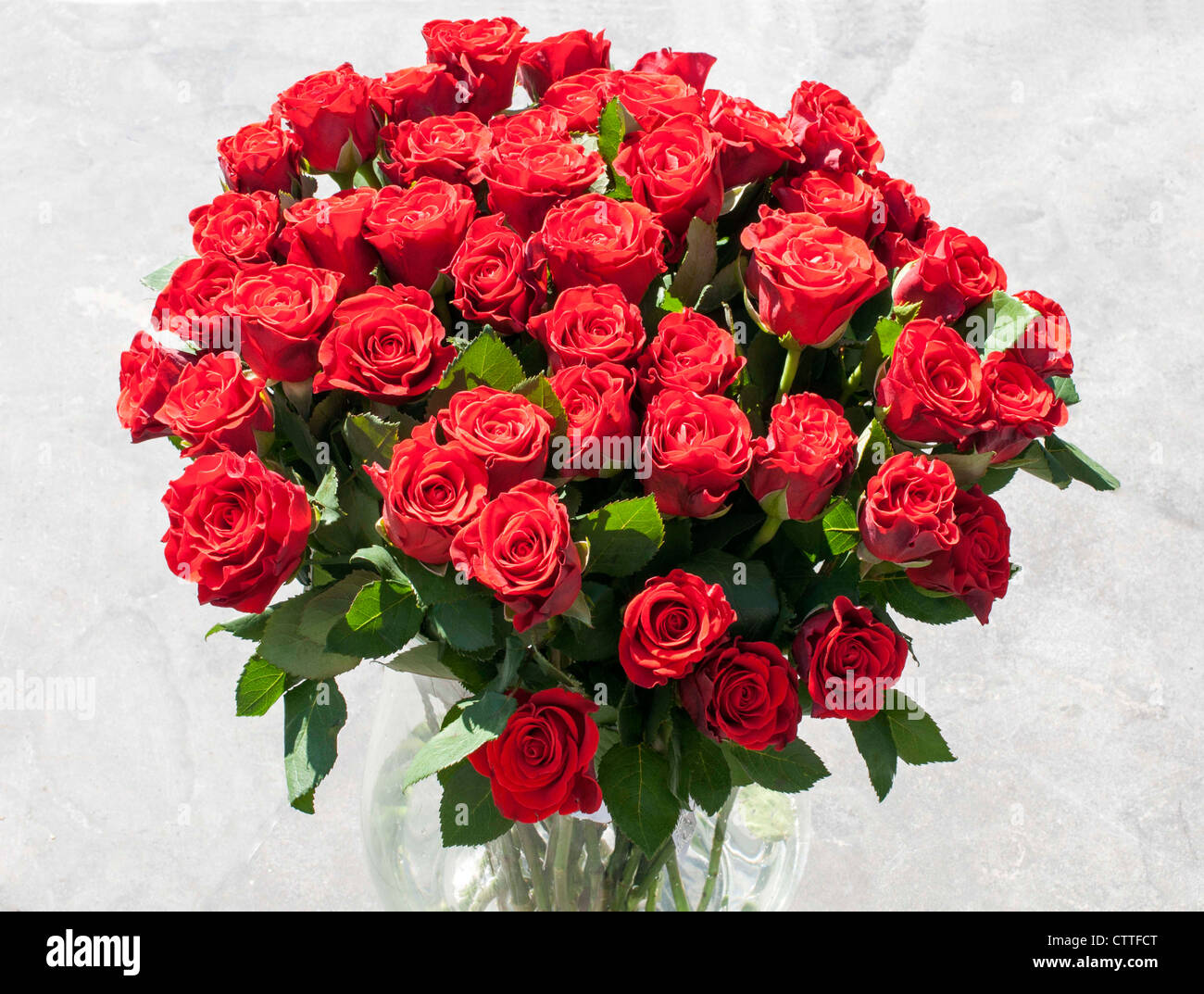 vase with red roses with sunlight on the flowers Stock Photo Alamy