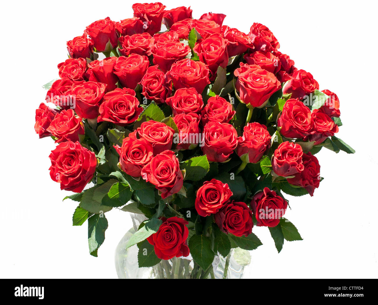 vase with red roses with sunlight on the flowers Stock Photo Alamy