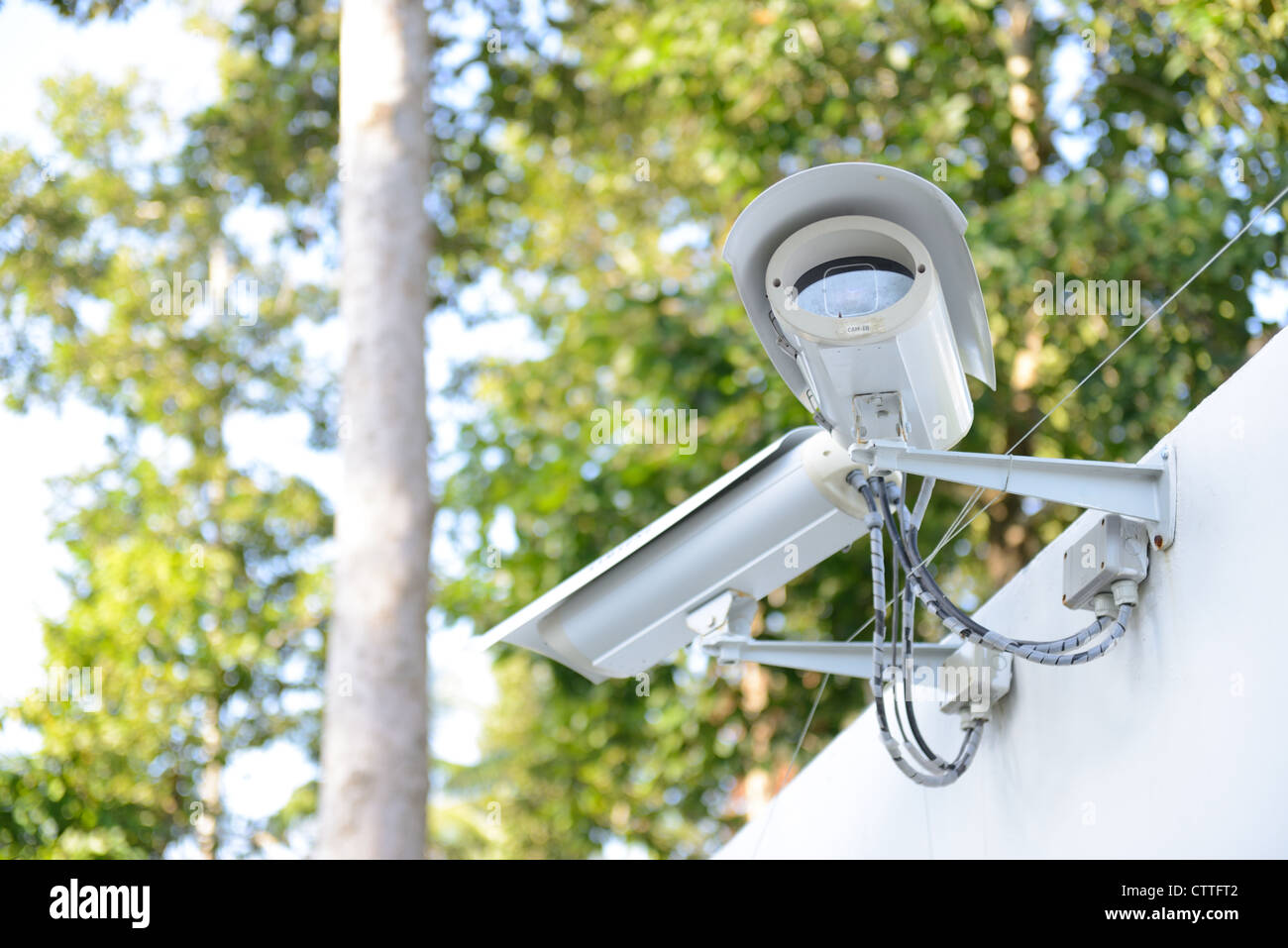 security camera on the fence next to the jungle Stock Photo