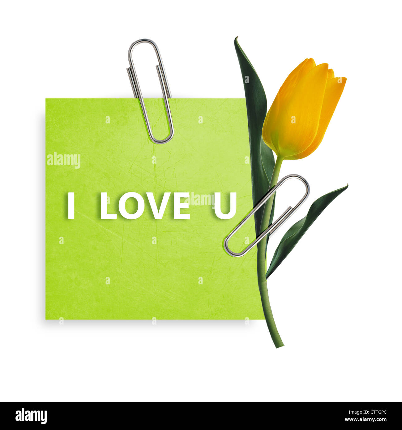 Green Note paper with paper clip and yellow tulip on white background