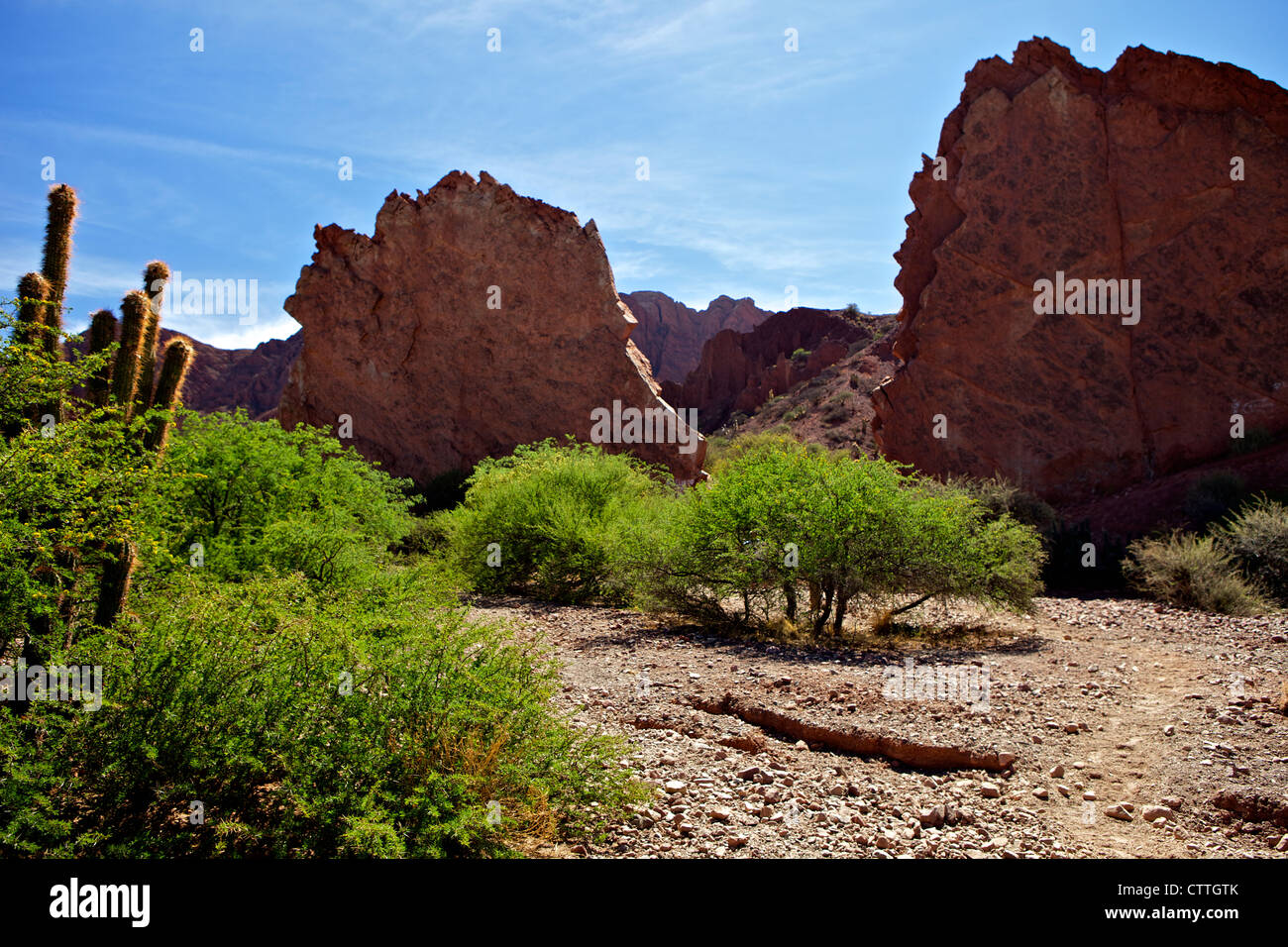 Devil's Tooth Rock, Canon Del Inca, Tupiza Chichas Range, Andes Southwestern Bolivia, South America Stock Photo