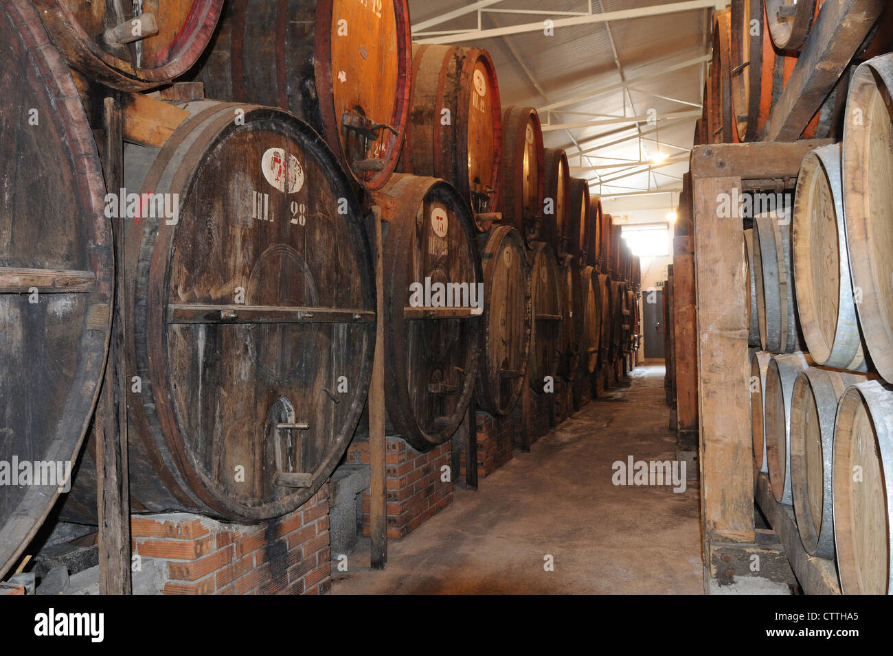 view of the cellars of Vernaccia di Oristano Stock Photo
