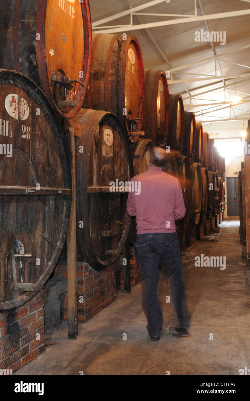 the wine cellars Contini, Cabras, Sardinia Stock Photo