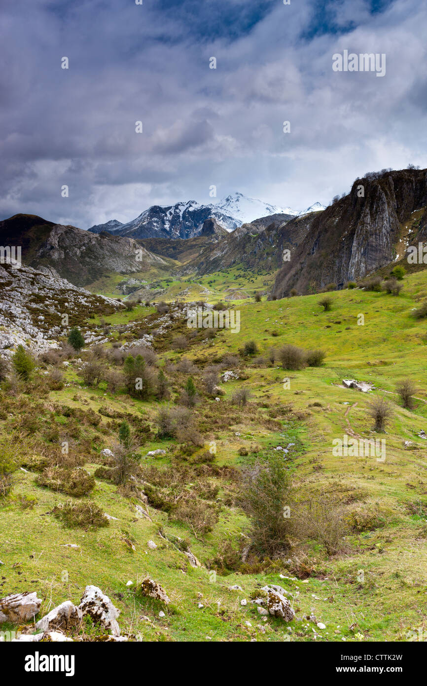 A view towards Cueto Salgaredo, Picos de Europa National Park, Asturias, Stock Photo