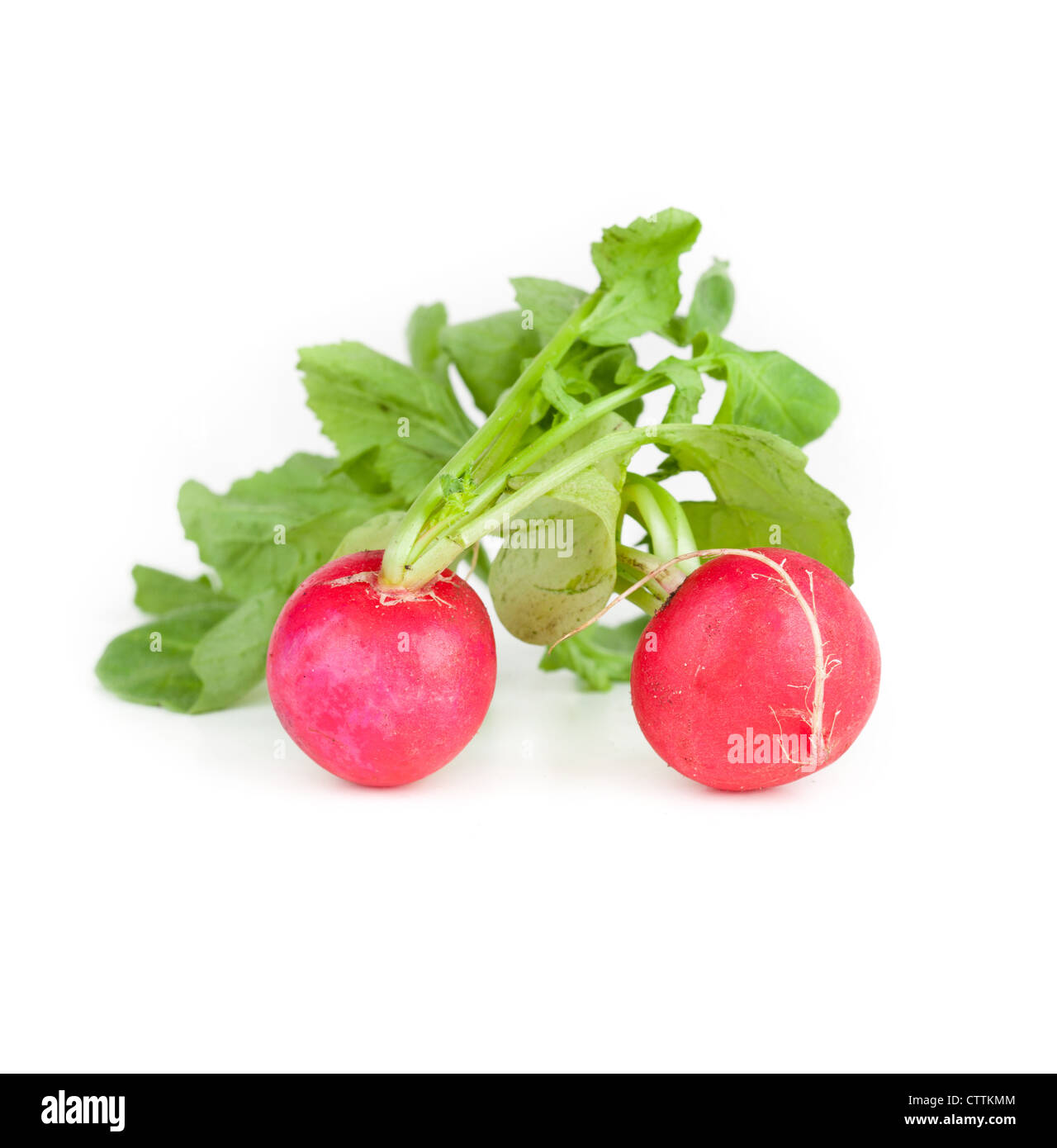 Garden radish, closeup on white background Stock Photo