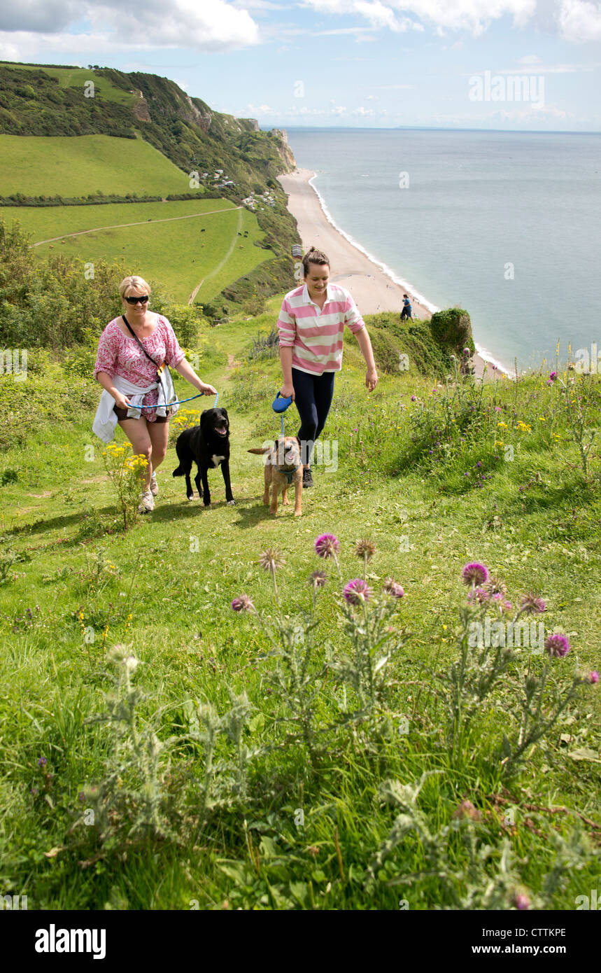 © Pic by Guy Newman. Walkers with dogs climb the South West Cliff Path out of Branscome in Devon. Stock Photo
