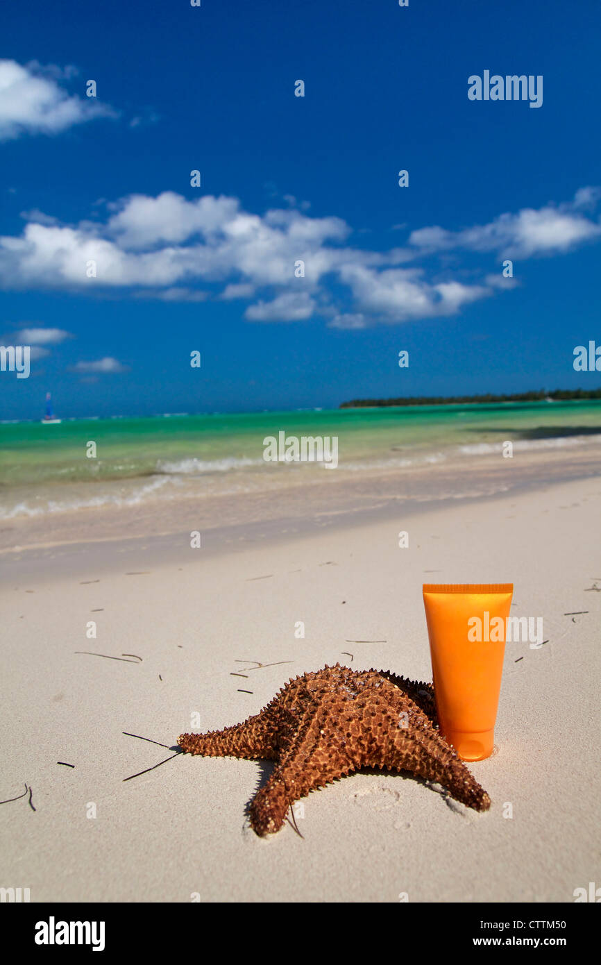 Red starfish on tropical beach, Dominican Republic Stock Photo