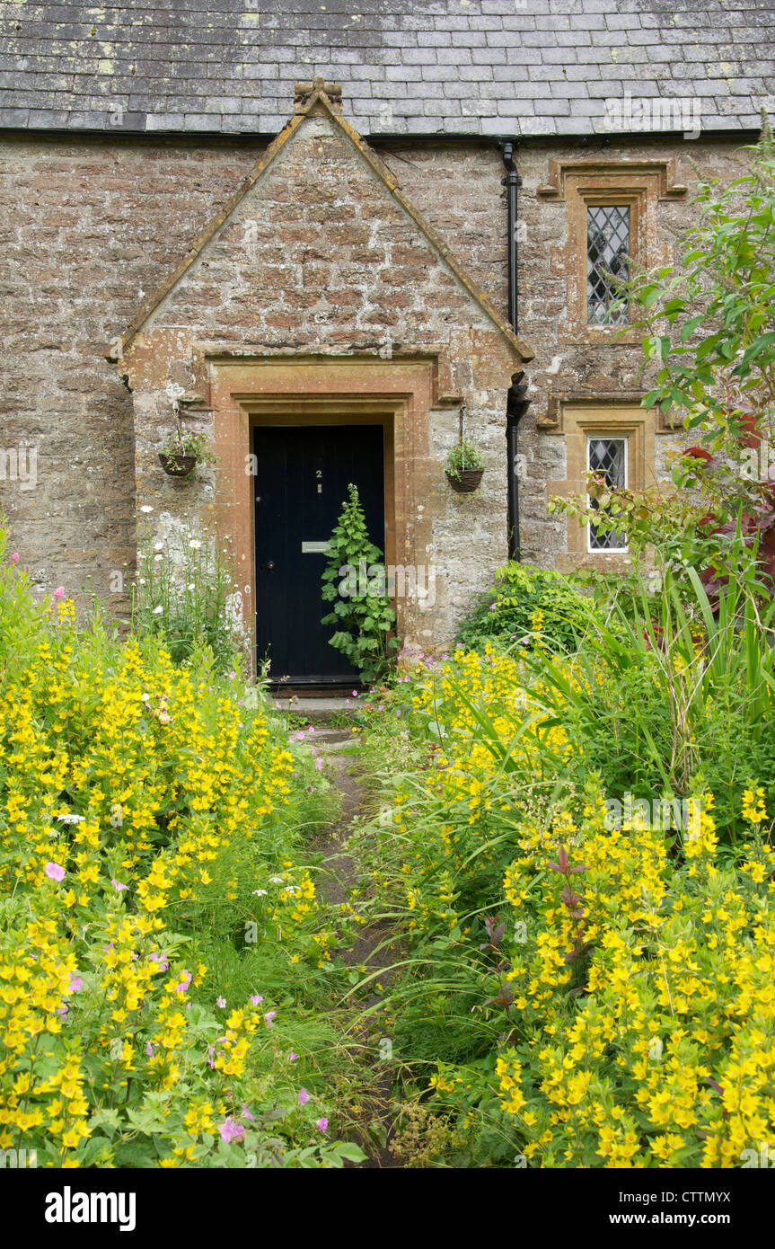 A garden path bordered by a riot of yellow flowers leads to the front door of an old stone house in the rural Dorset village of Evershot. England, UK. Stock Photo