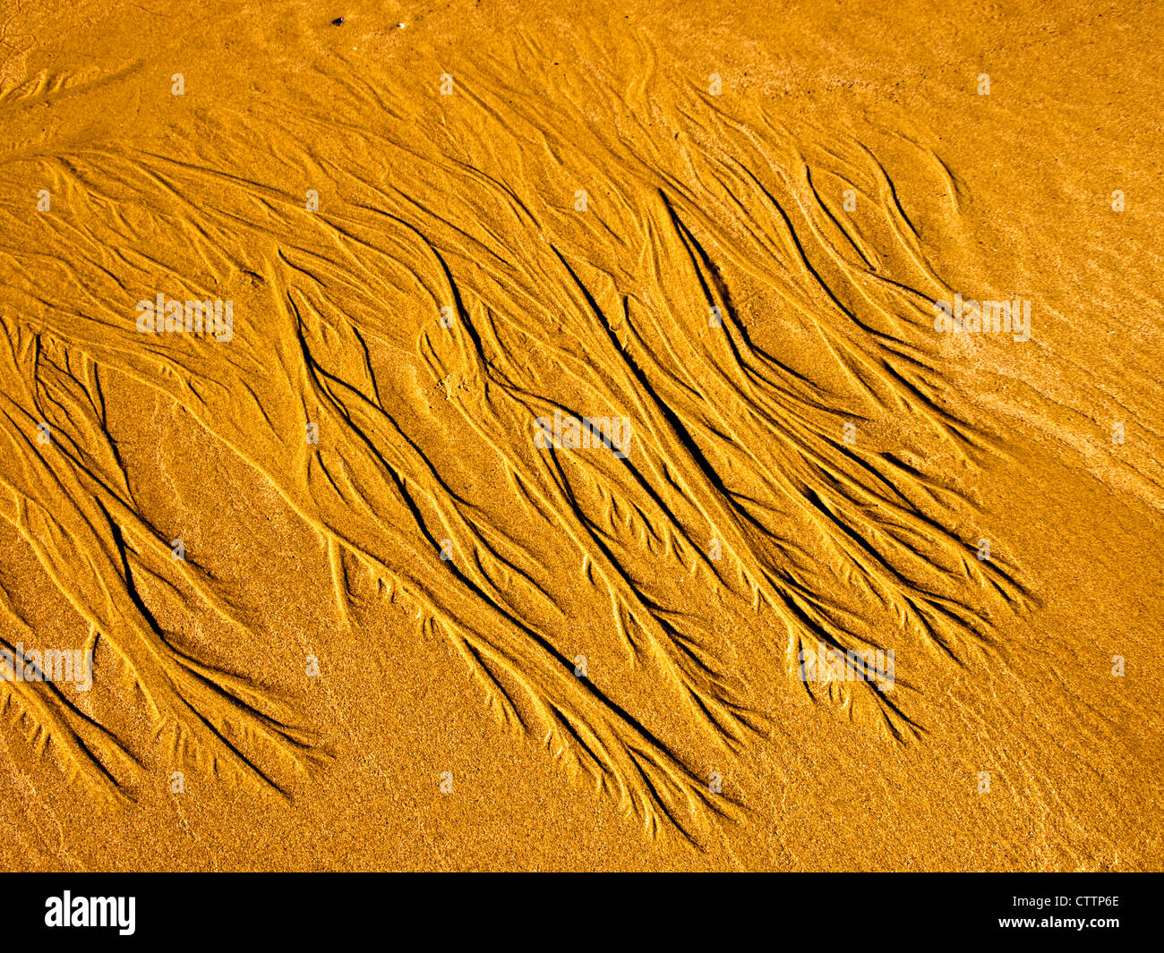 Ridges in beach sand made by retreating tide Stock Photo