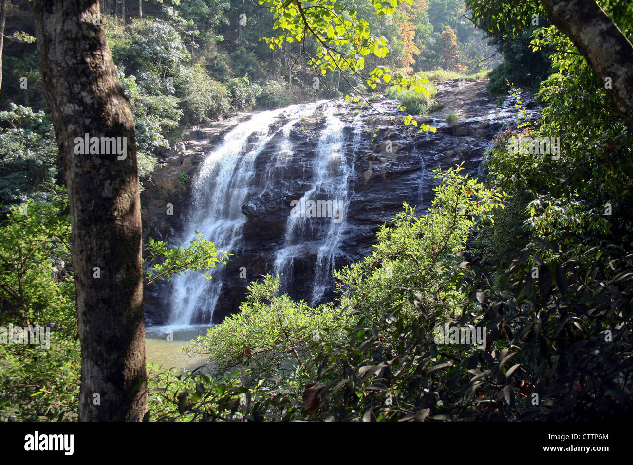 Water Falls viewed amidst thick and lush green vegetation Stock Photo