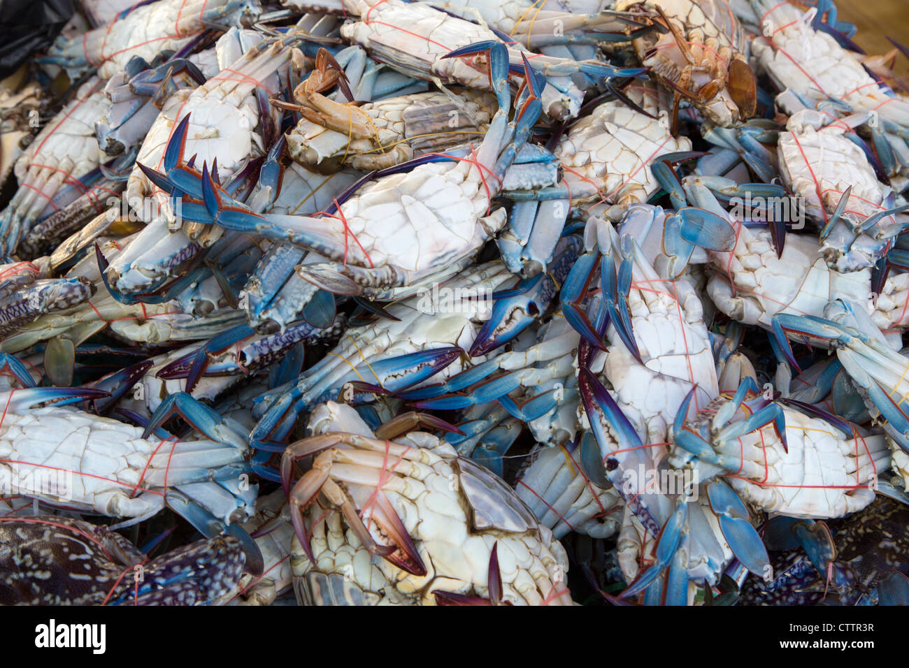 Stall crabs market crab hires stock photography and images Alamy