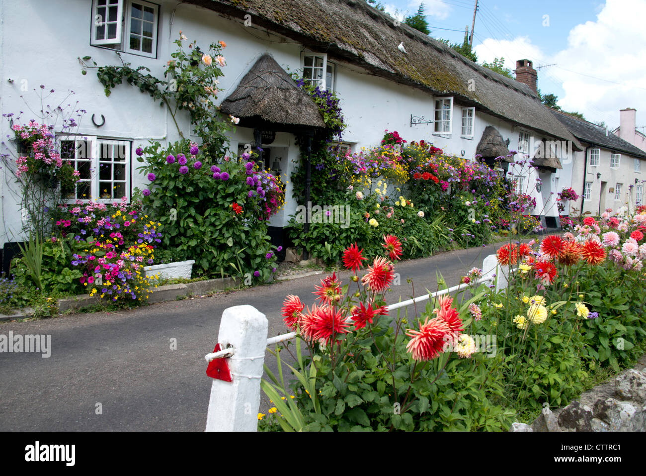 Character Devon coastal thatched cottage with colourfull display of
