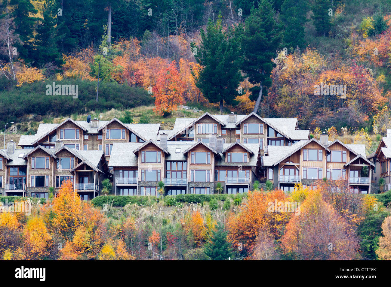 Houses perched on hill above Christchurch, New Zealand in Autumn Stock Photo