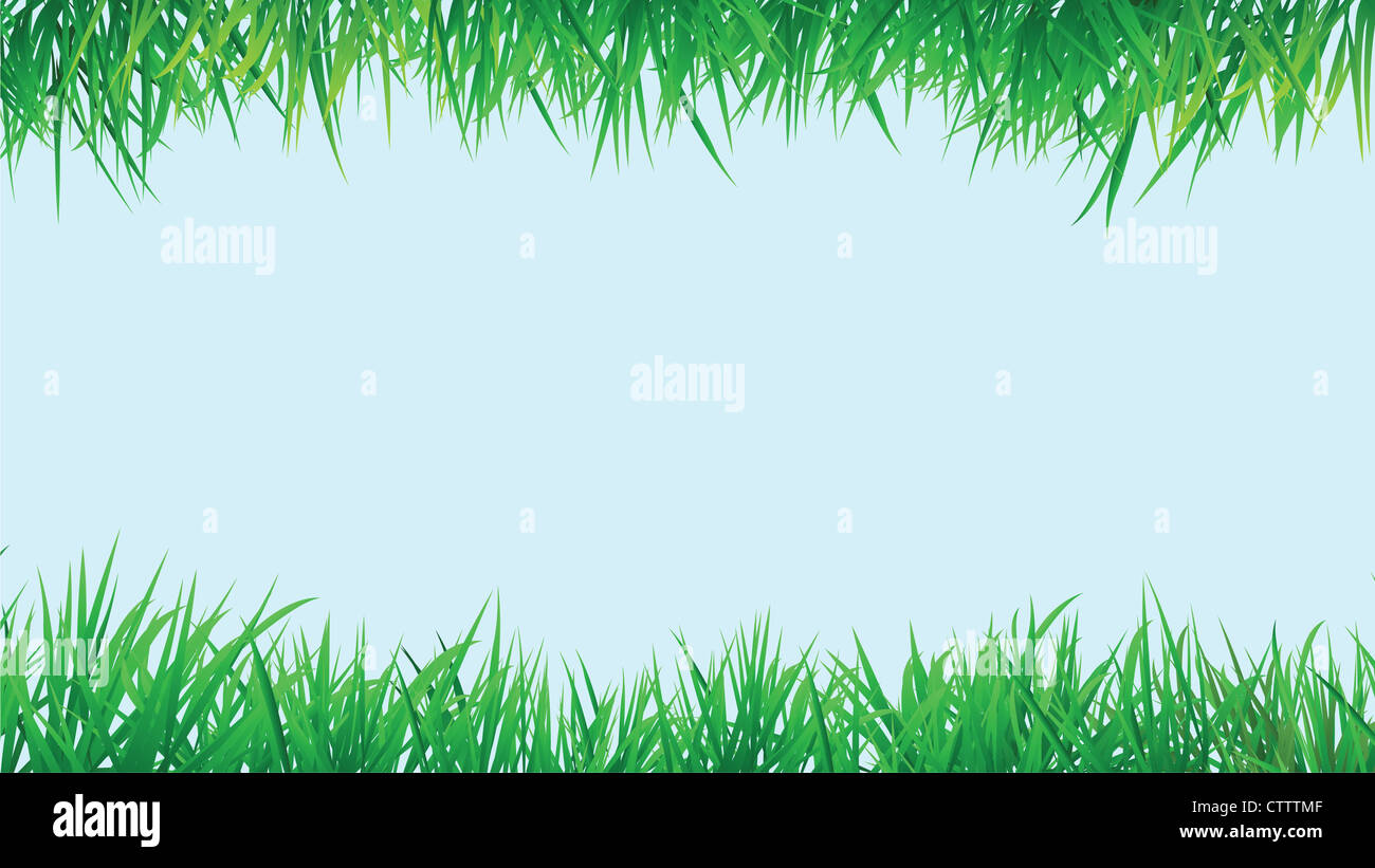 grass border background, vector format with copy space Stock Photo - Alamy