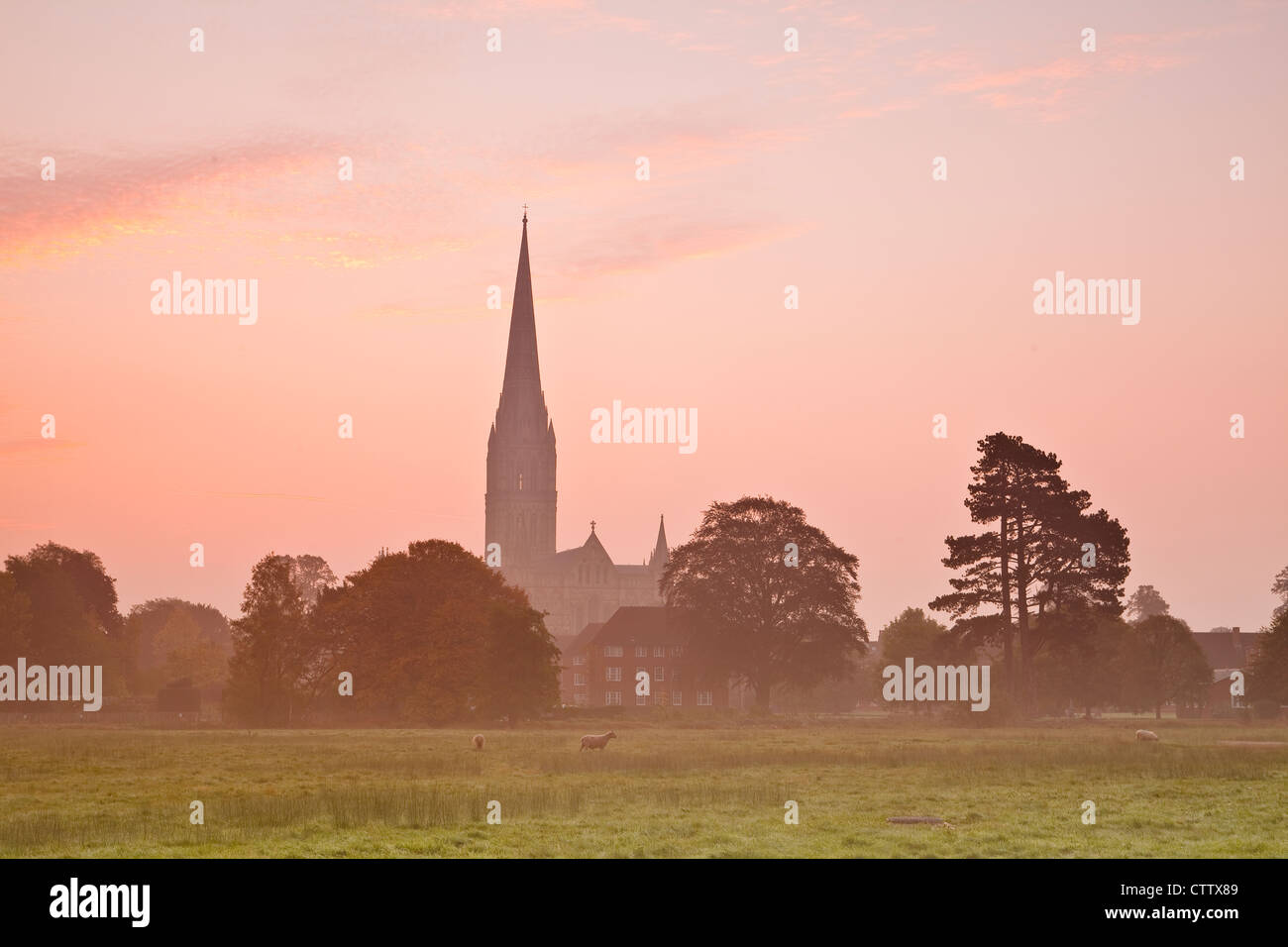 Salisbury cathedral across the west harnham water meadows at dawn Stock