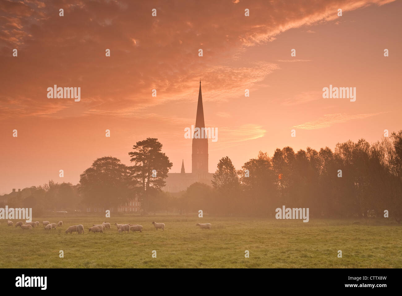 Salisbury cathedral across the west harnham water meadows at dawn Stock