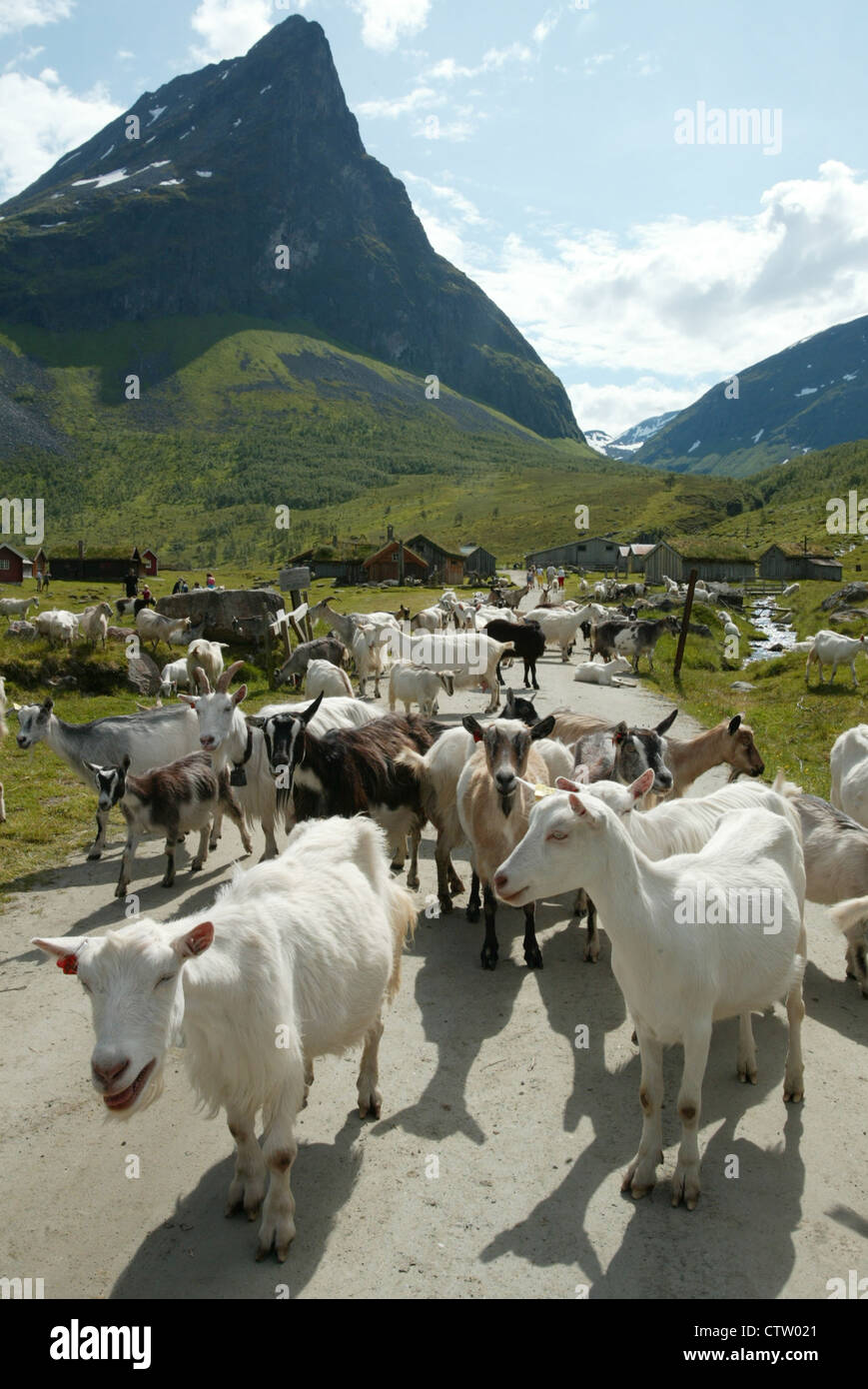 Herdal Mountain range in Nordal, Norway. Herdalssetra Norwegian