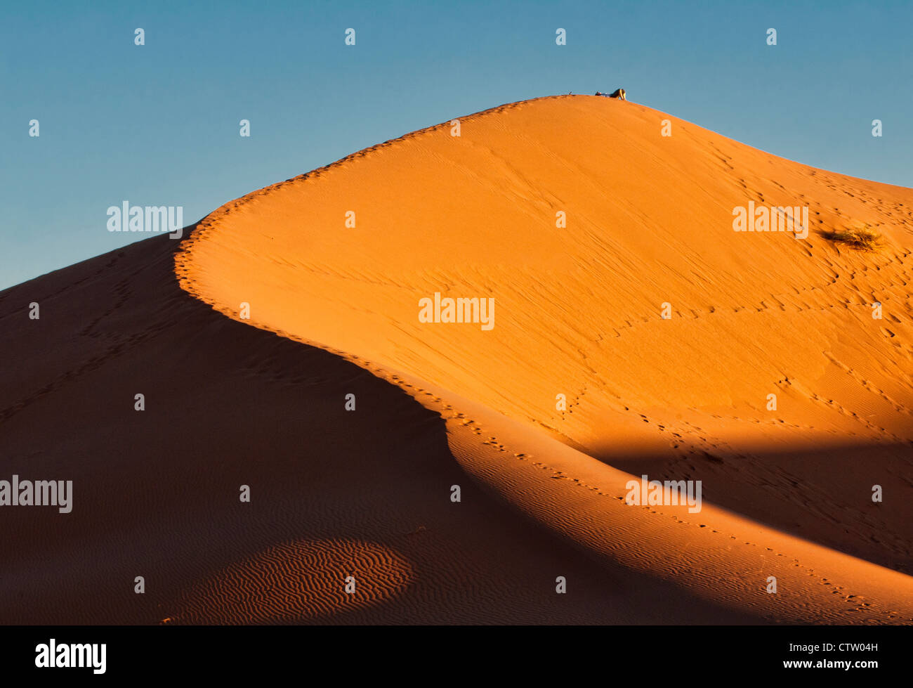 Sand dune in the Sahara Desert at Erg Chigaga, Morocco Stock Photo - Alamy