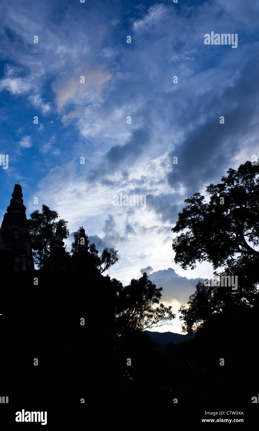 Silhouette of Tree with Blue and Cloudy Sky in Background Stock Photo ...