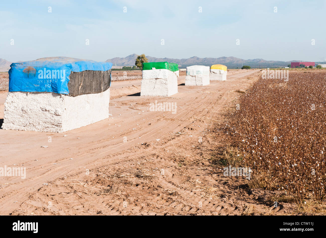 Cotton modules are shown with a harvested cotton field in the foreground. Stock Photo