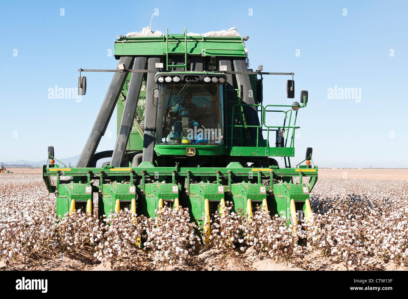 A pair of cotton picking machines harvest a cotton field in Arizona. Stock Photo