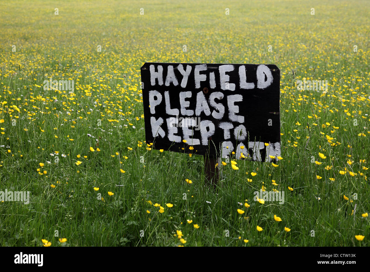 Pennine Hay Meadow with Sign Upper Teesdale County Durham UK Stock Photo