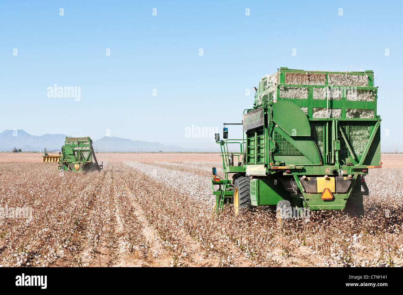A pair of cotton picking machines harvest a cotton field in Arizona. Stock Photo
