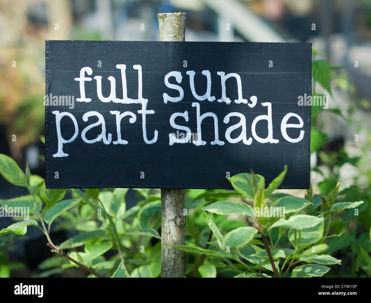 Hand painted sign for plants that suit full sun and part shade inside glasshouse at Staverton Bridge Nursery, Totnes, Devon, UK Stock Photo