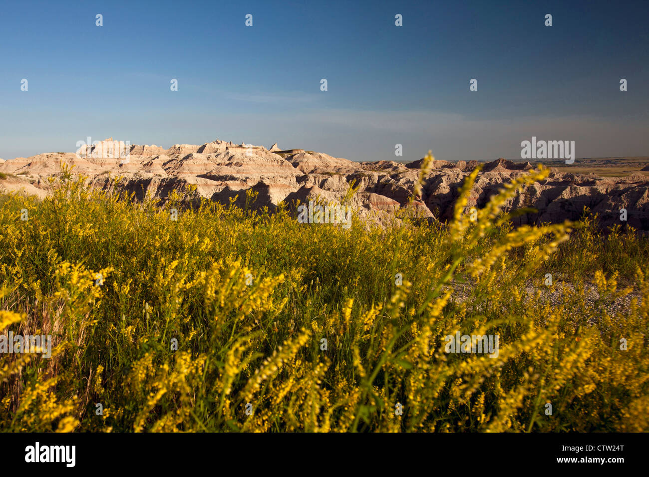 General view of wild flowers in front of large rock formations, Badlands National Park, South Dakota, United States of America Stock Photo