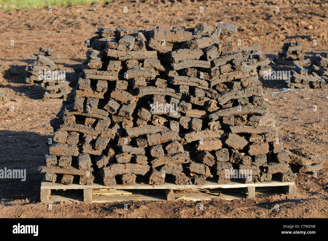 Sods of turf stacked to dry on a wooden pallet on, Emlagh Bog, Oristown, Kells, County Meath, Ireland Stock Photo