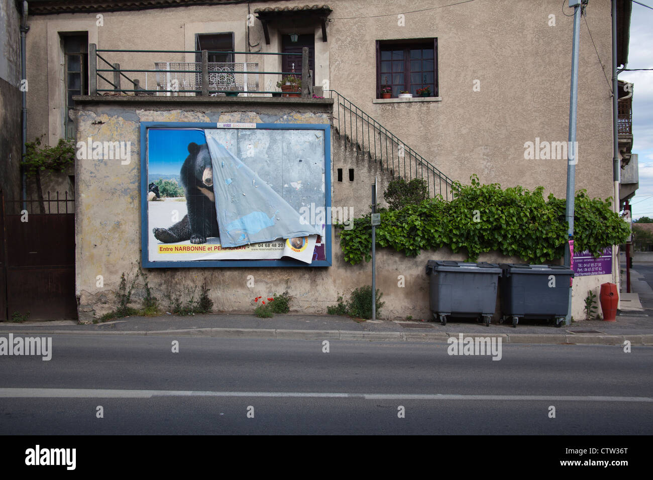 A peeling billboard poster of a bear advertising Narbonne animal park, Montpellier region, France. Stock Photo