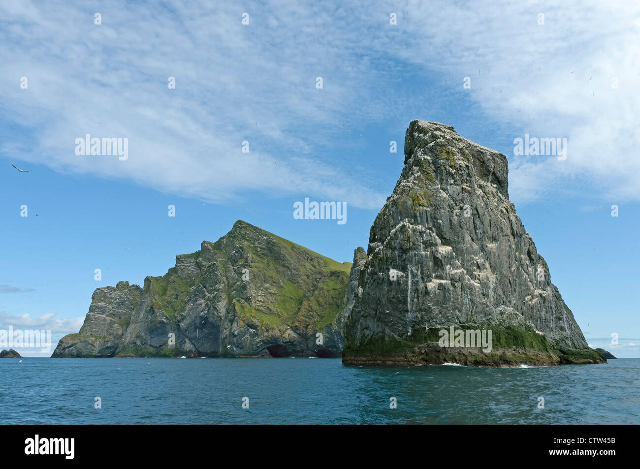 Stac Lee and the isle of Boreray in the Saint KIlda archipelago, with nesting colony of northern gannets (Morus bassanus). Stock Photo
