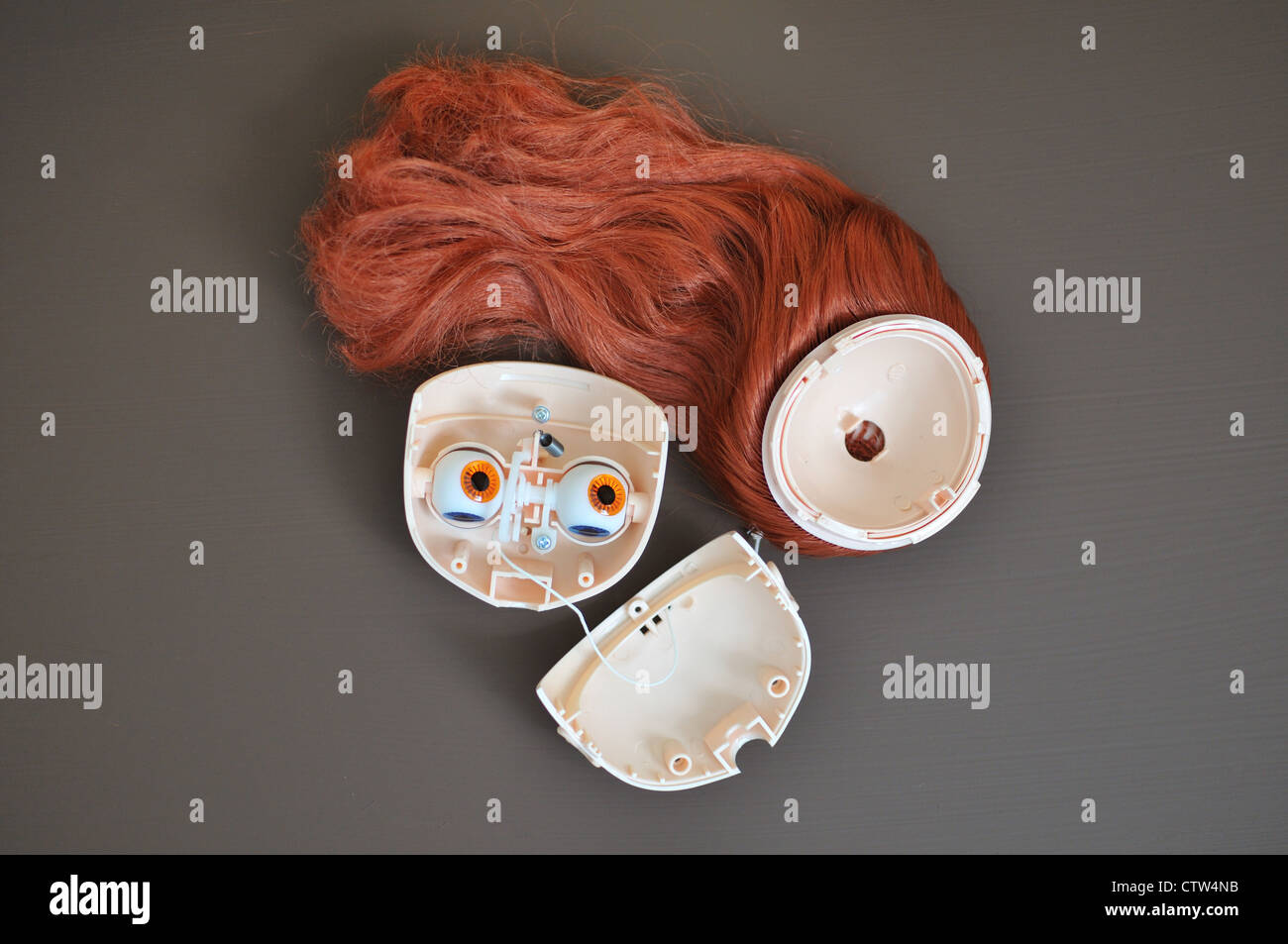 Blythe doll head dismounted showing the eye mechanism in the head Stock  Photo - Alamy