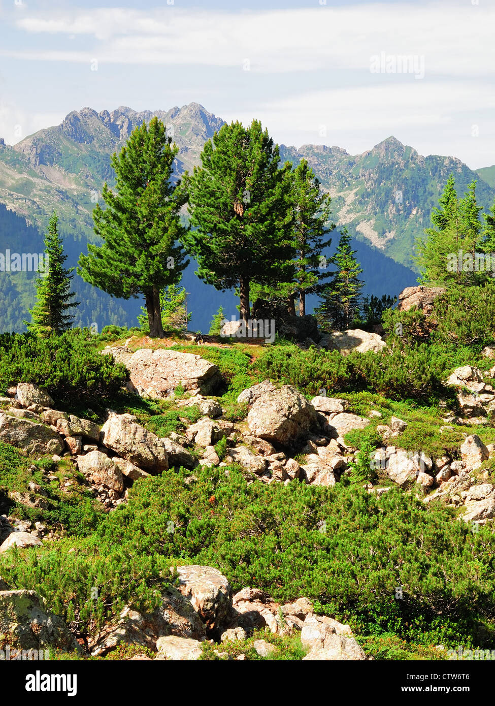 Dolomiten, Passo Manghen, Telve, Trentino, South Tyrol, Italy Stock Photo