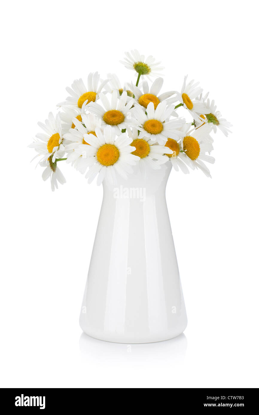 Chamomile bouquet in vase. Isolated on white background Stock Photo - Alamy