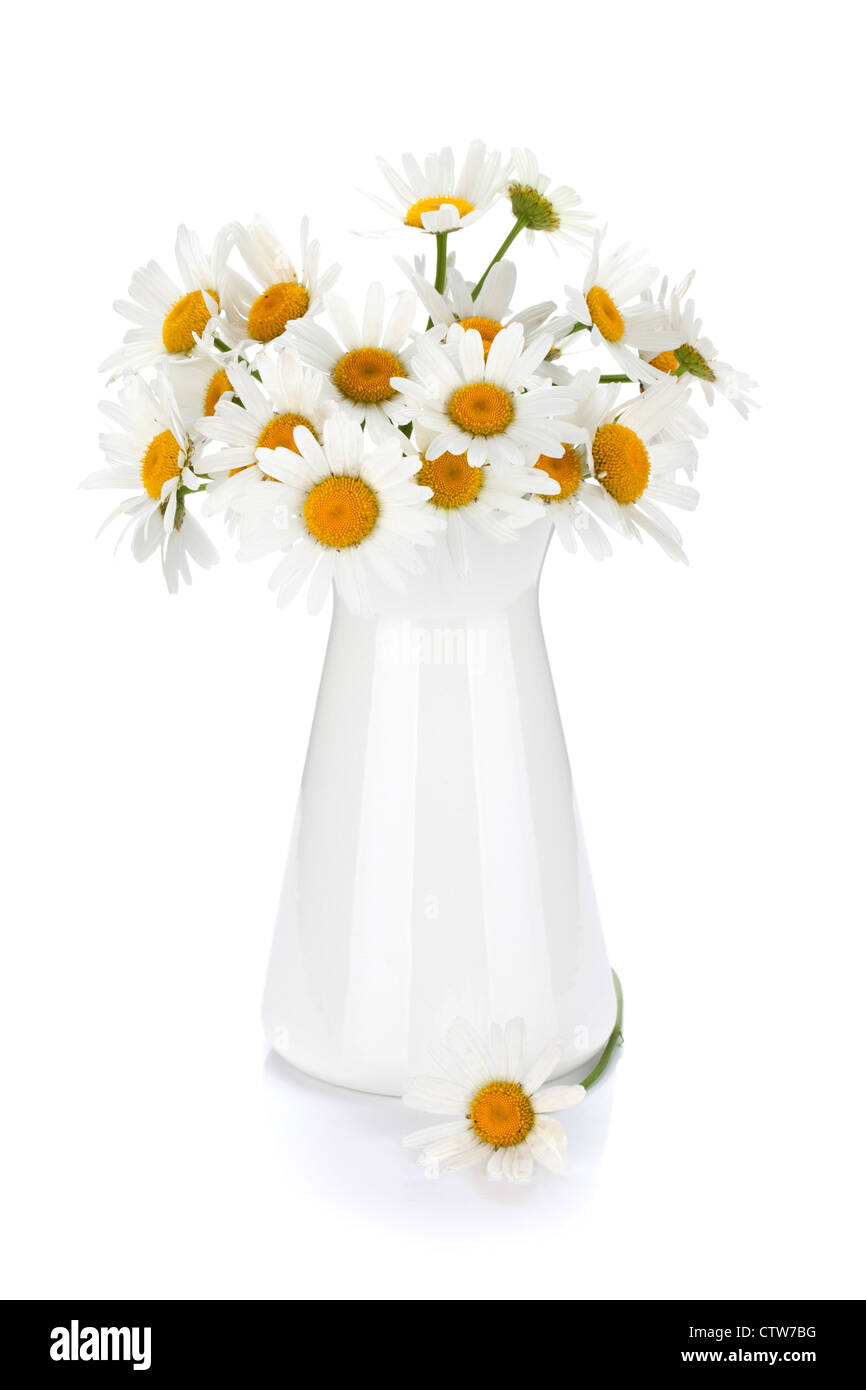 Chamomile bouquet in vase. Isolated on white background Stock Photo - Alamy