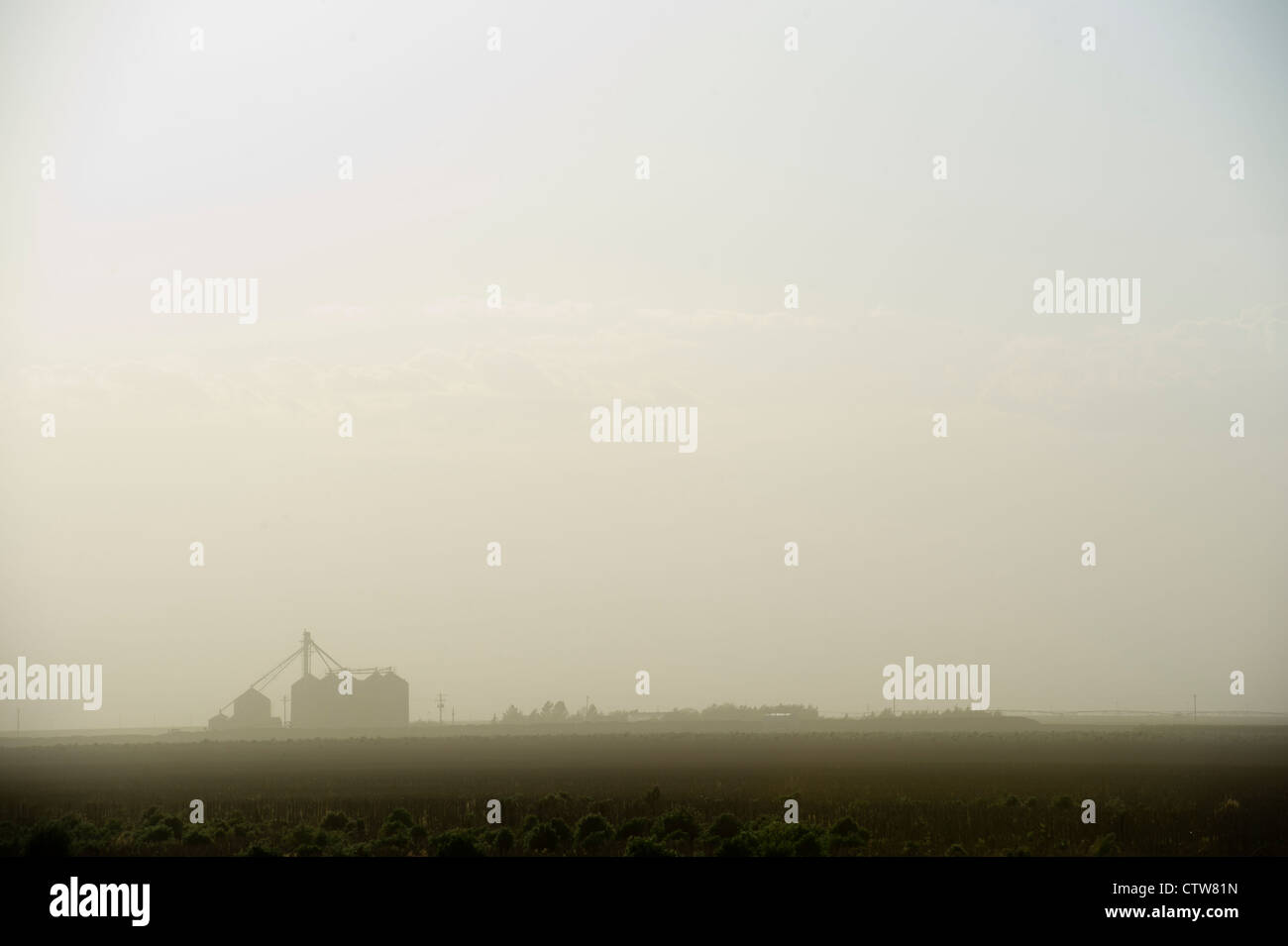 Dust from a feed lot for cattle blows across a nearby farm in Leoti, Kansas, USA. Stock Photo