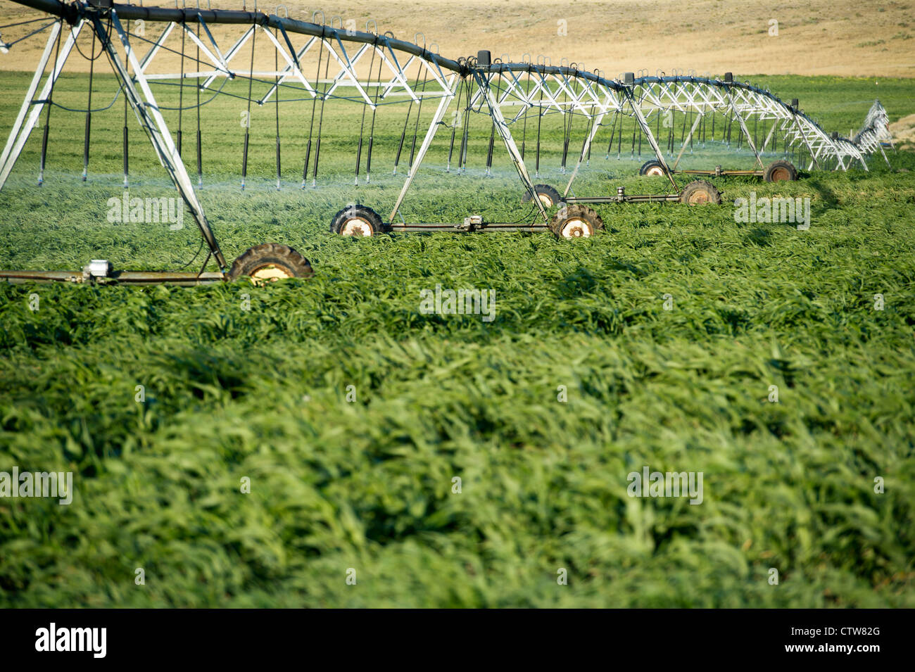 Corn irrigation usa hires stock photography and images Alamy