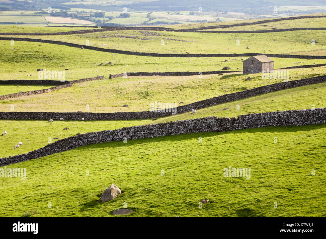 Yorkshire Dales barn and fields Stock Photo