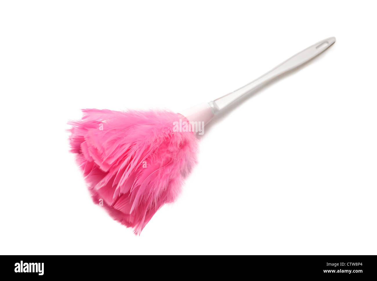 Pink feather duster hires stock photography and images Alamy