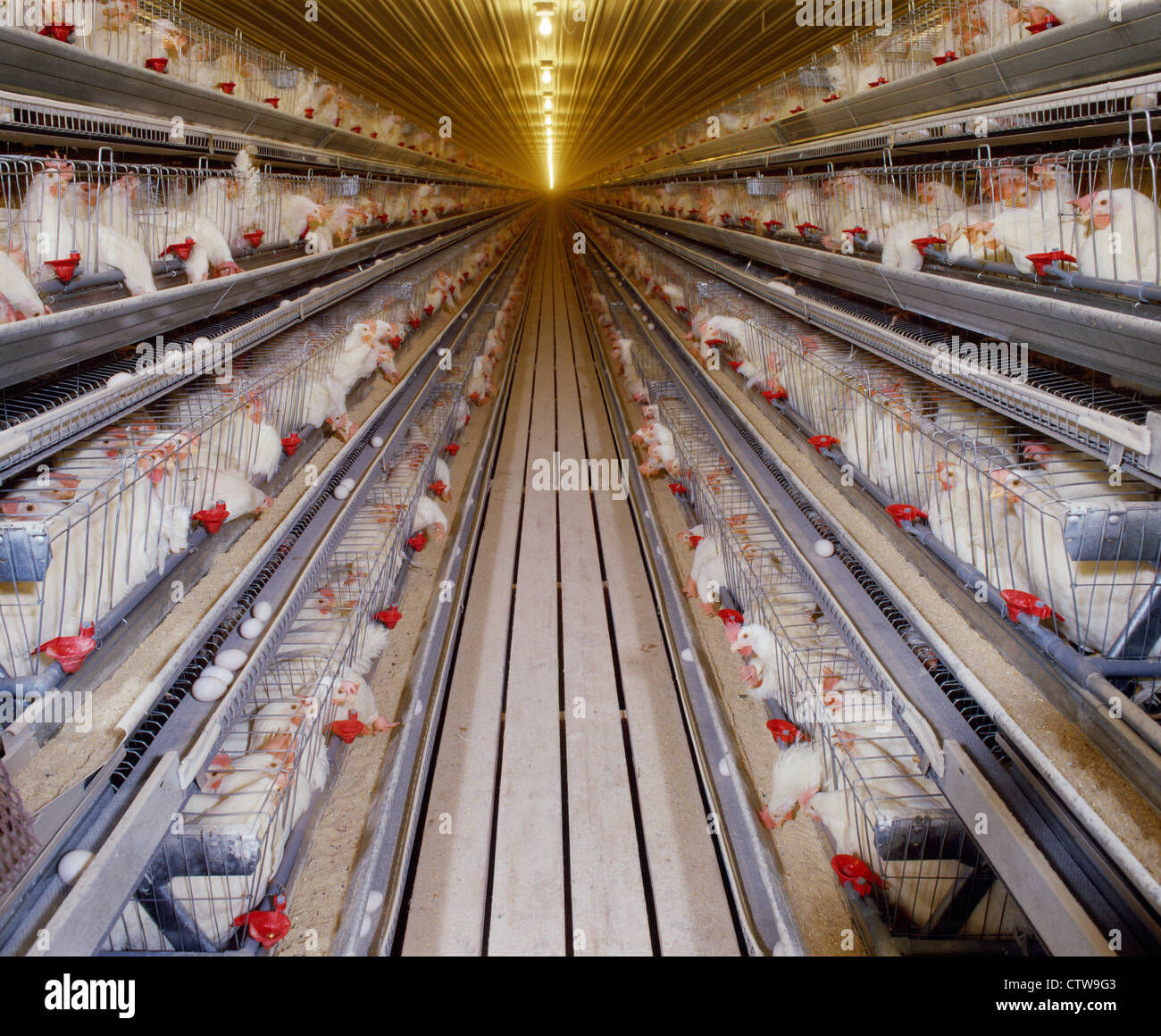 4 DECK LAYING HOUSE Stock Photo Alamy