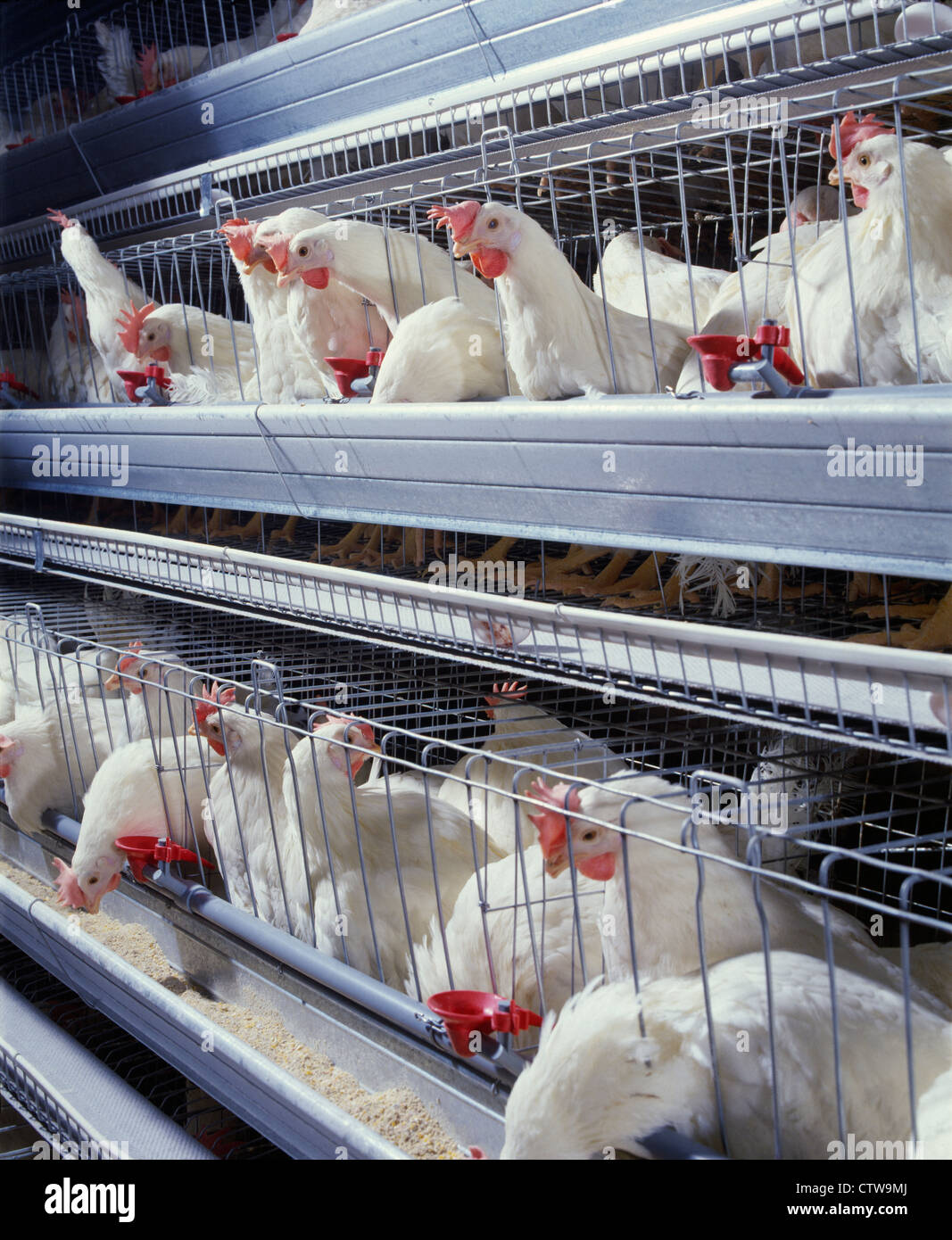 A1C test visual data 8