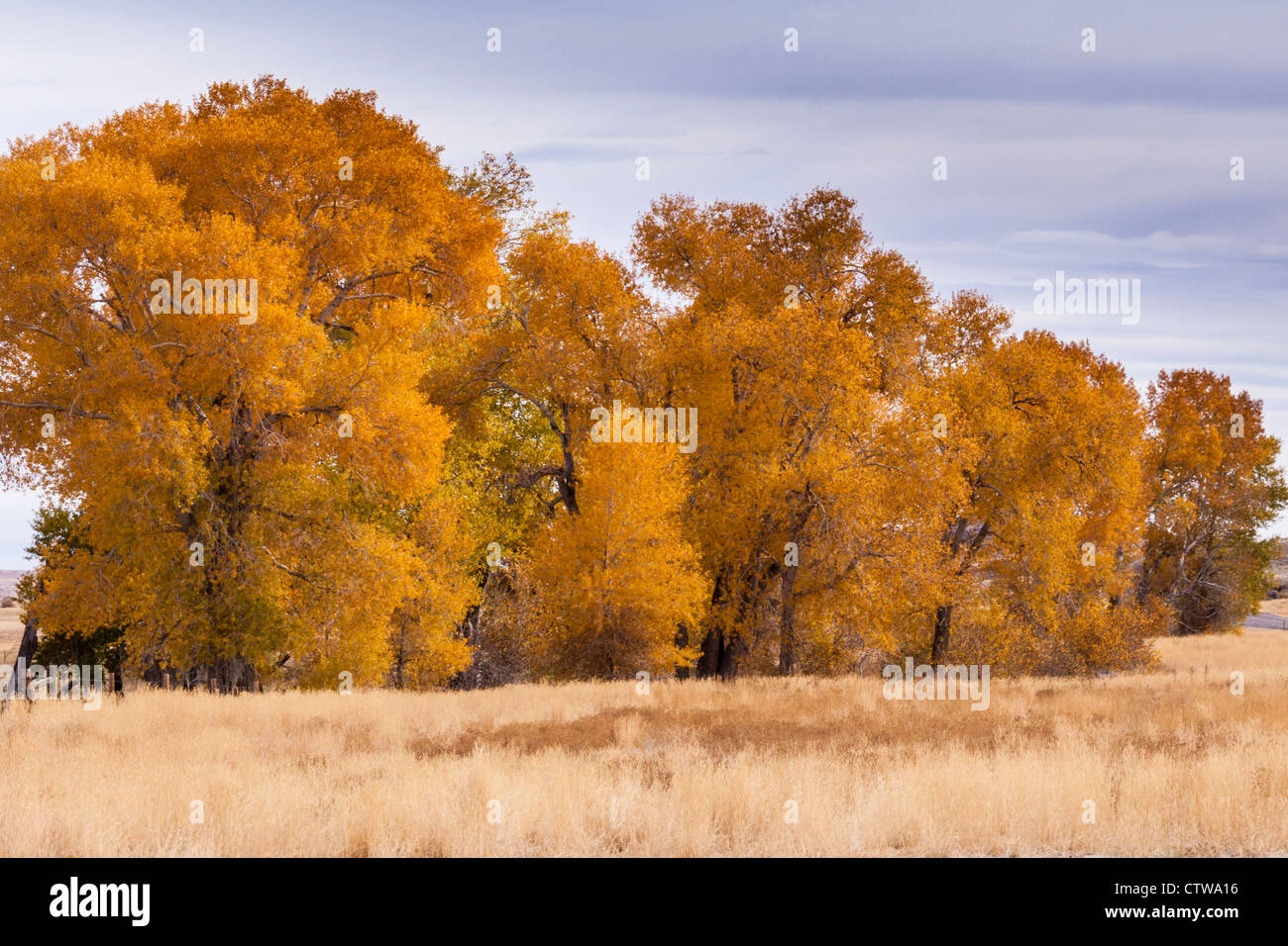 Autumn color along scenic highway US 287 in central Wyoming. Stock Photo