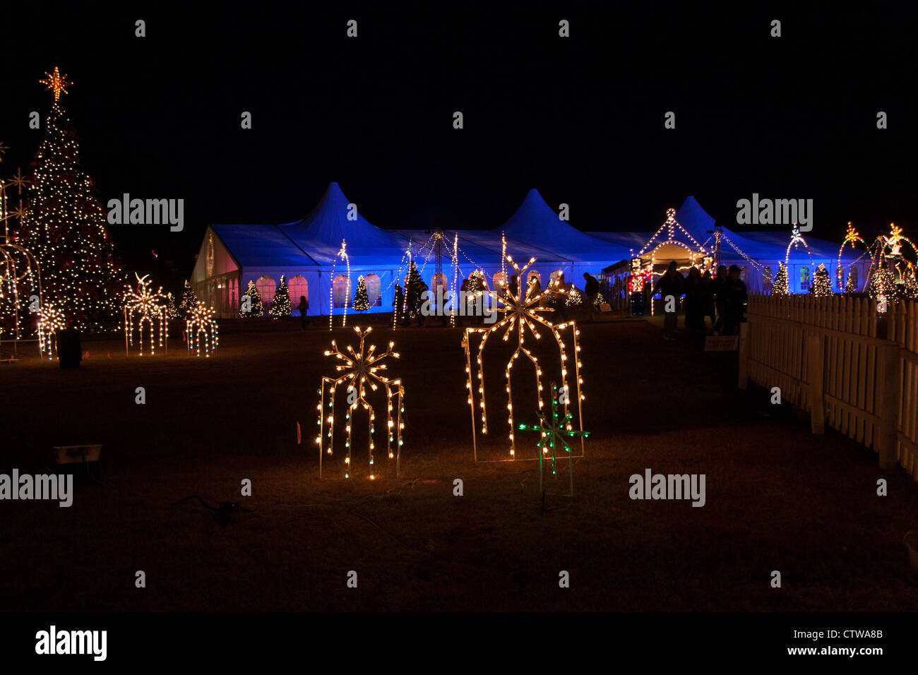 Christmas lights night in woodlands hires stock photography and images