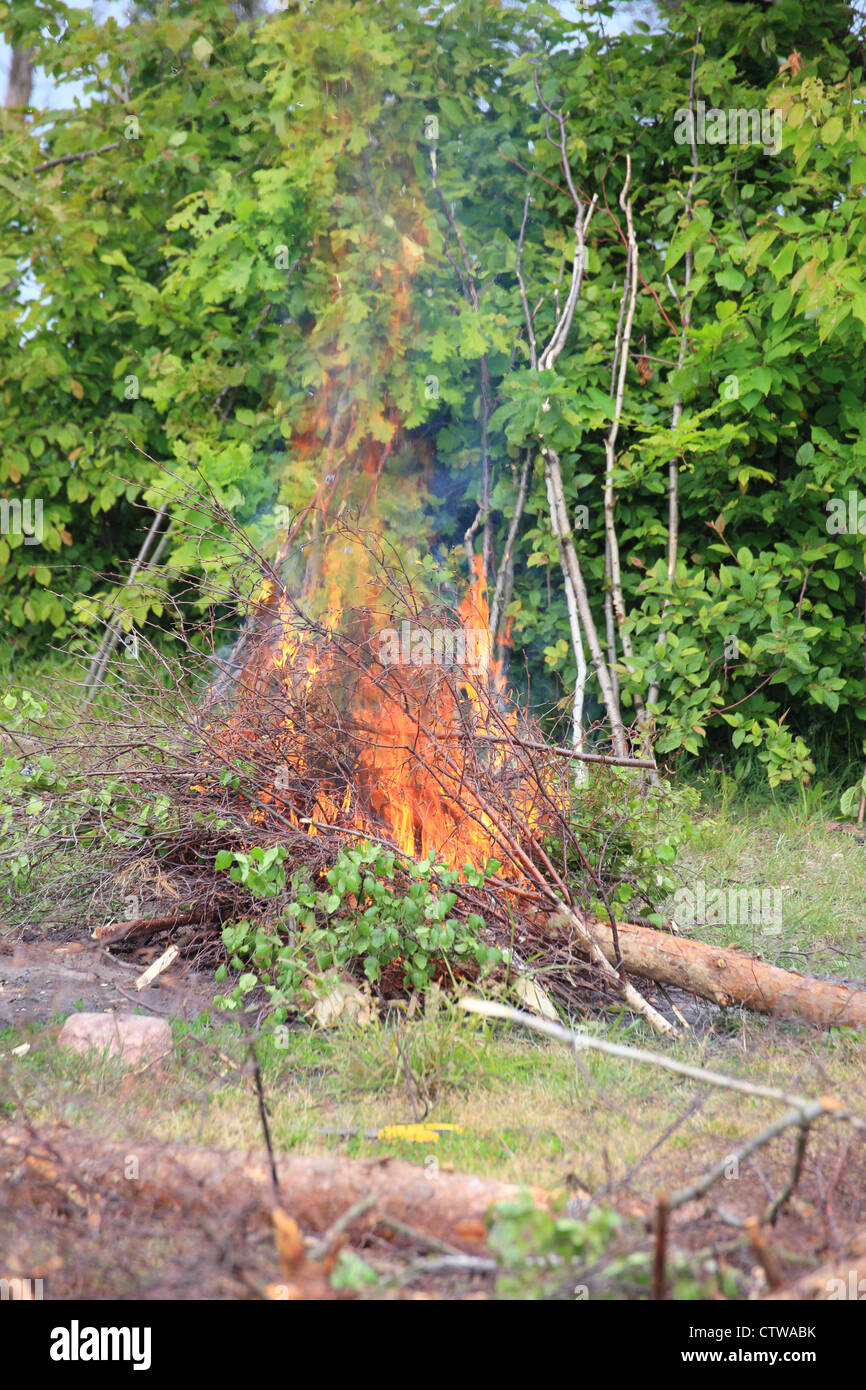 bonfire, campfire in the summer forest Stock Photo - Alamy
