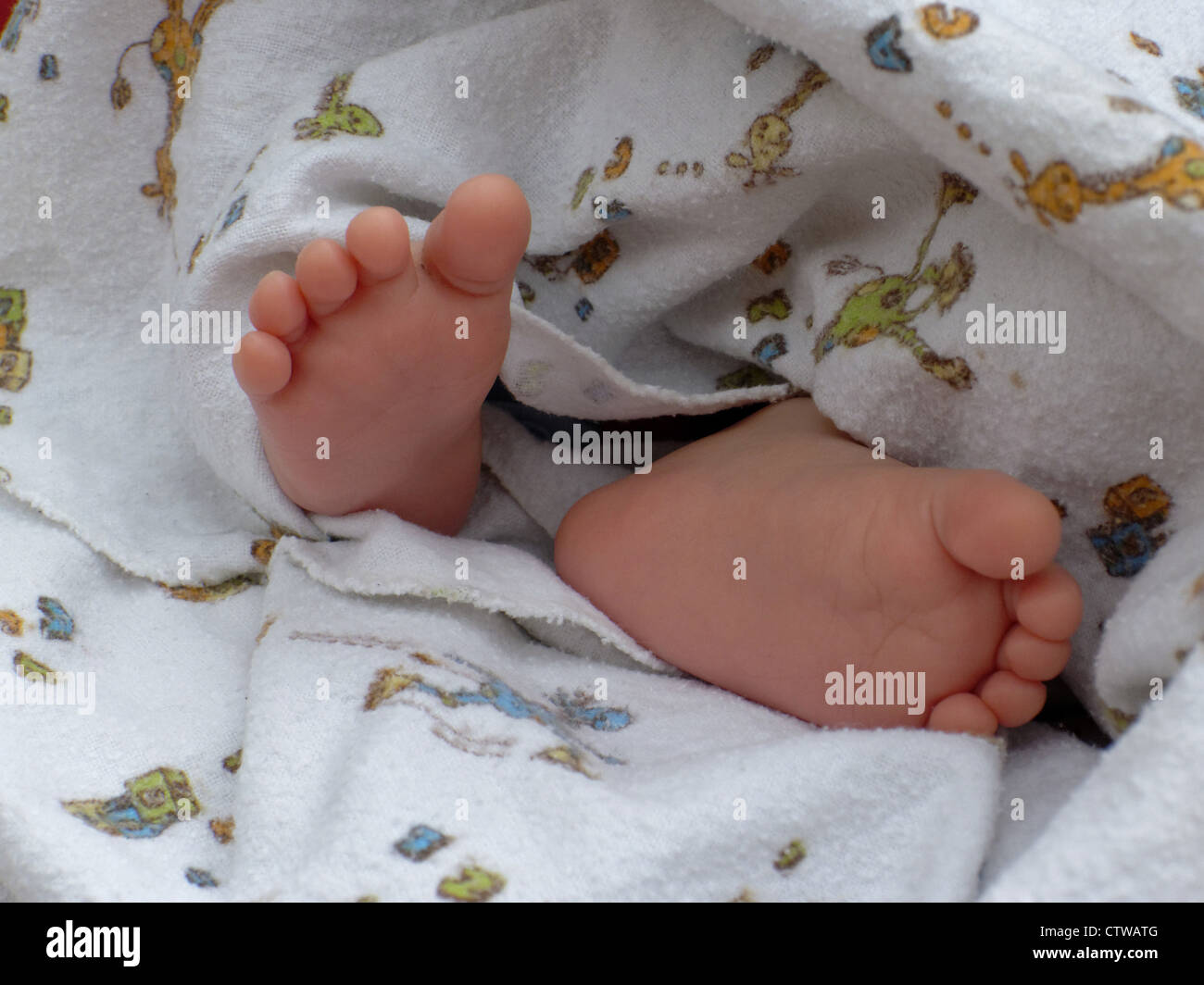 Baby's feet Stock Photo