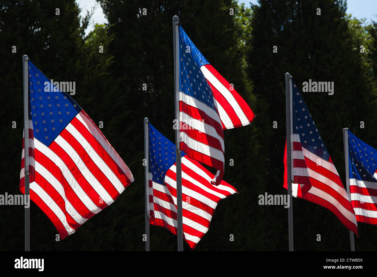 American flags in the wind on a sunny day Stock Photo