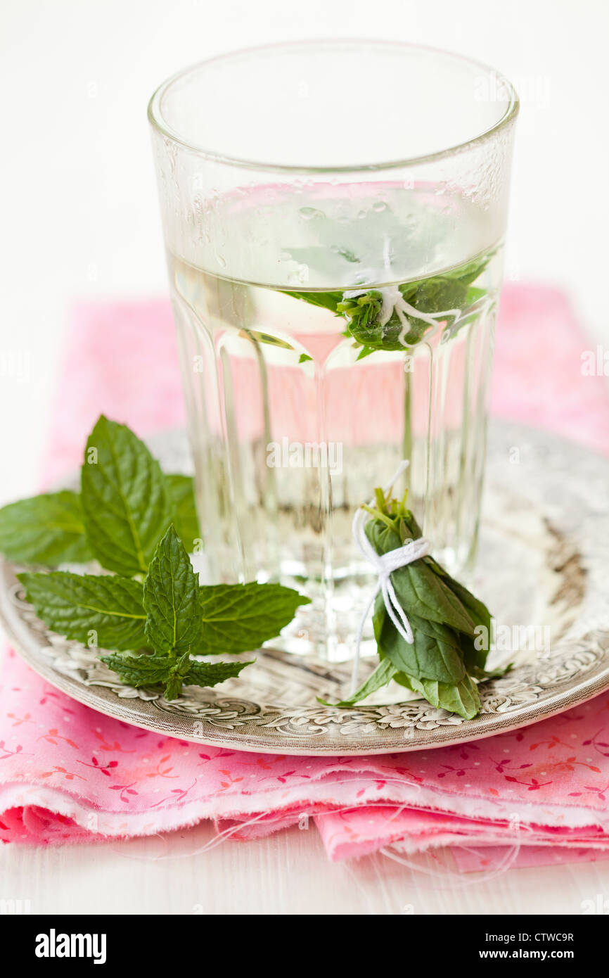 Close-up of refreshing mint tea with fresh mint Stock Photo