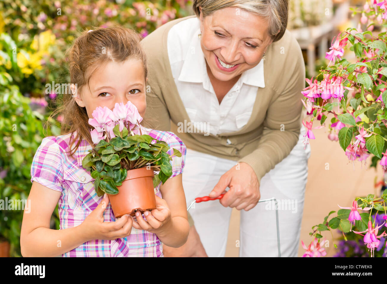 Grandmother and granddaughter holding purple potted cyclamen at garden centre Stock Photo
